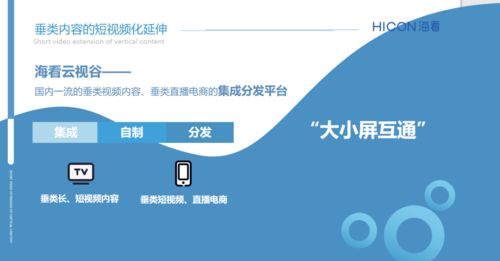 三晉論道，共話未來(lái) 海看股份許璐璐談精品垂類內(nèi)容產(chǎn)業(yè)化與河北網(wǎng)站開(kāi)發(fā)的協(xié)同發(fā)展